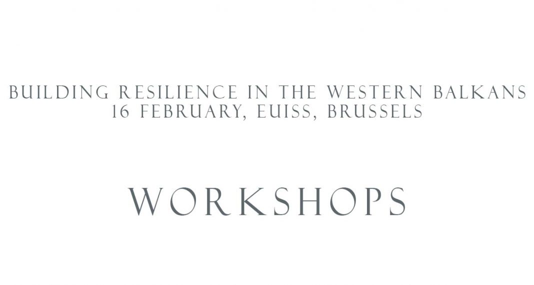 EUISS Workshop