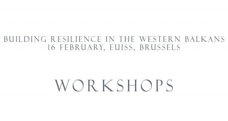 EUISS Workshop