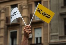 Patkica na raskrsnici Patkica na raskrsnici